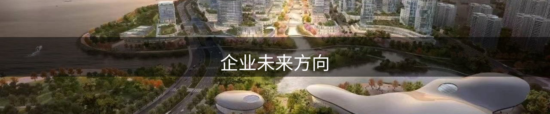 企业未来方向